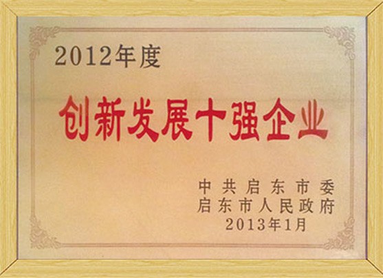 創(chuàng)新發(fā)展十強(qiáng)企業(yè)